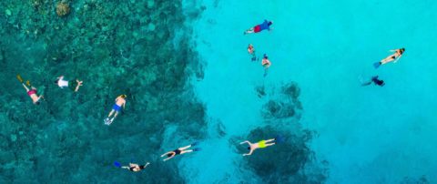 A group of people are snorkeling